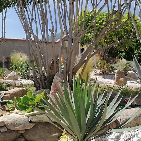 Bed & Breakfast La Picholine 3*