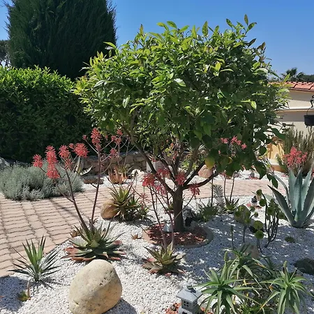 B&B La Picholine Sorède